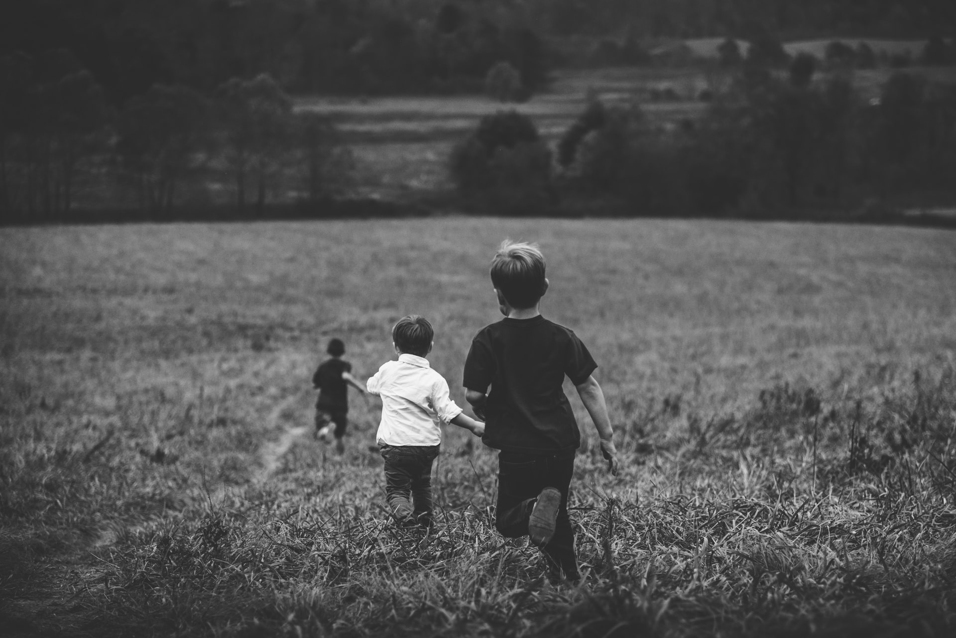 brothers running in a field